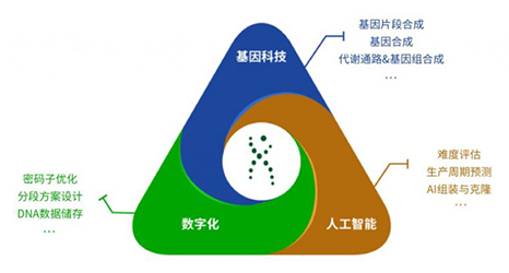 DNA合成与组装解决方案