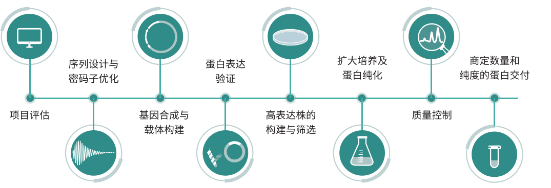 重组蛋白表达服务流程